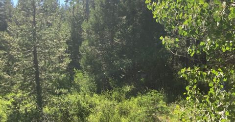 180 Bucks Meadow Dr, Bucks Lake, CA 95971 Photo
