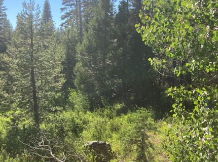 180 Bucks Meadow Dr, Bucks Lake, CA 95971 Photo