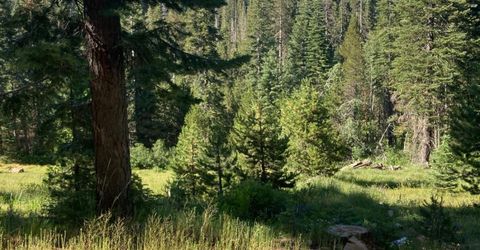 180 Bucks Meadow Dr, Bucks Lake, CA 95971 Photo