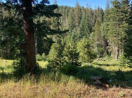 180 Bucks Meadow Dr, Bucks Lake, CA 95971 Photo