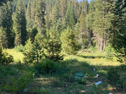 180 Bucks Meadow Dr, Bucks Lake, CA 95971 Photo