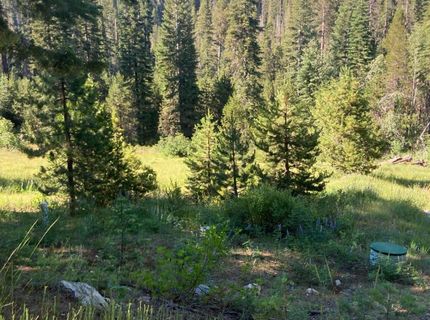 180 Bucks Meadow Dr, Bucks Lake, CA 95971 Photo