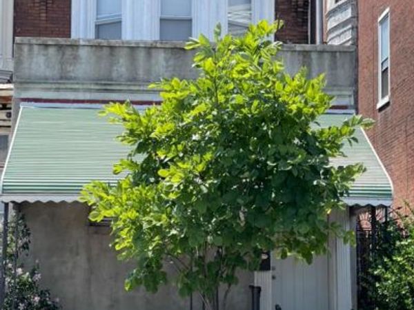 550 N 63RD STREET, PHILADELPHIA, PA 19151