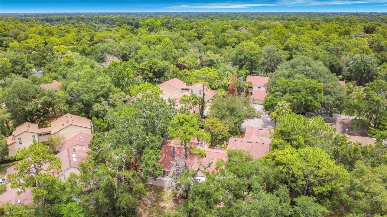 111 Juniper Lane , Longwood, FL 32779 Photo