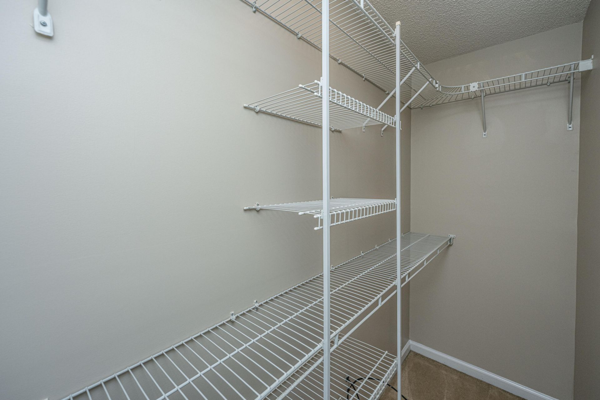 252 Trickle Drive Photo 16