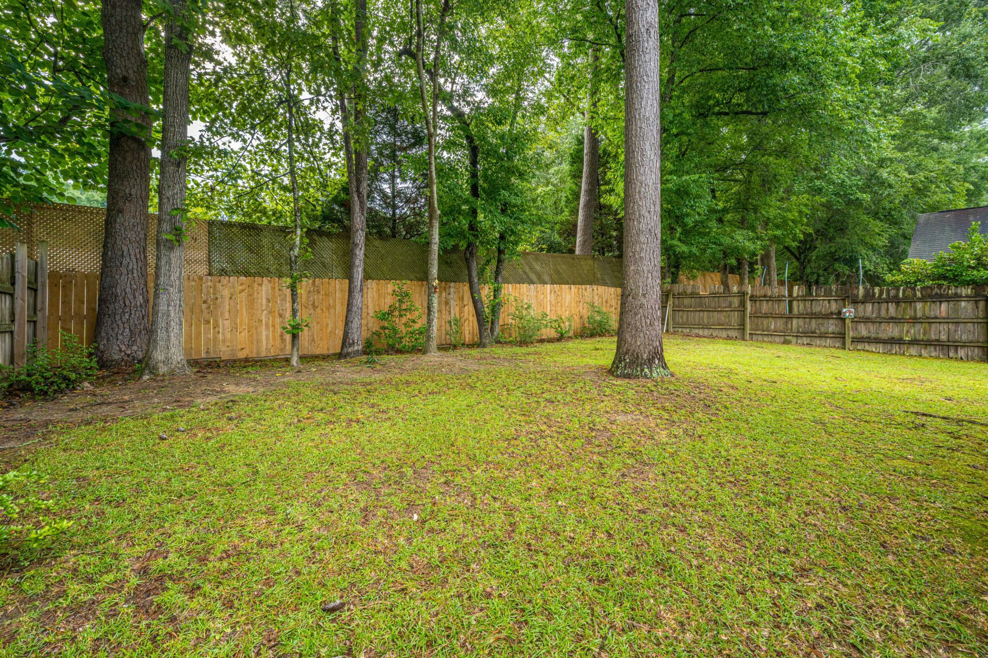 252 Trickle Drive Photo 25