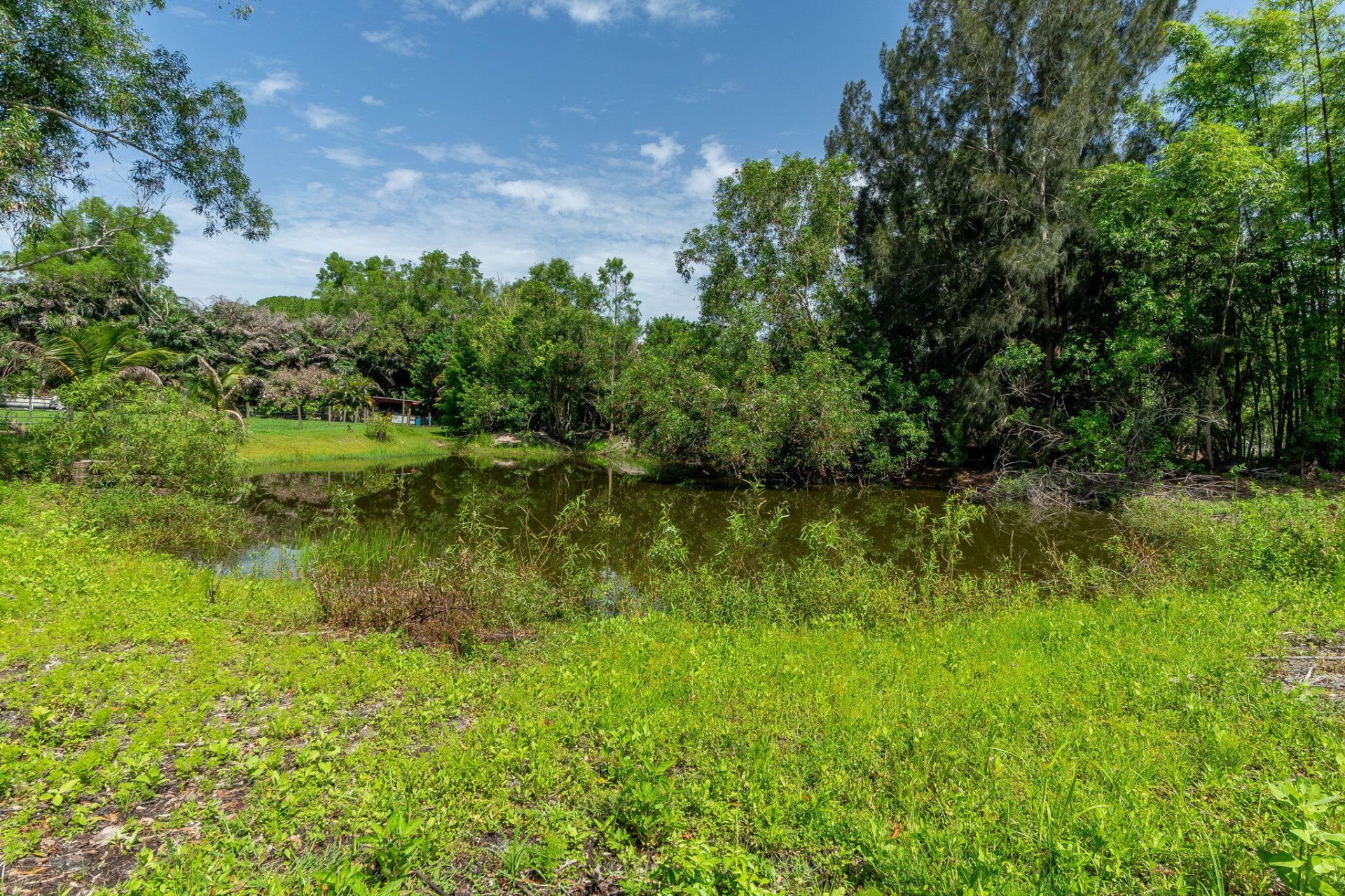 11735 150th Court N, Jupiter Farms, FL 33478 Photo