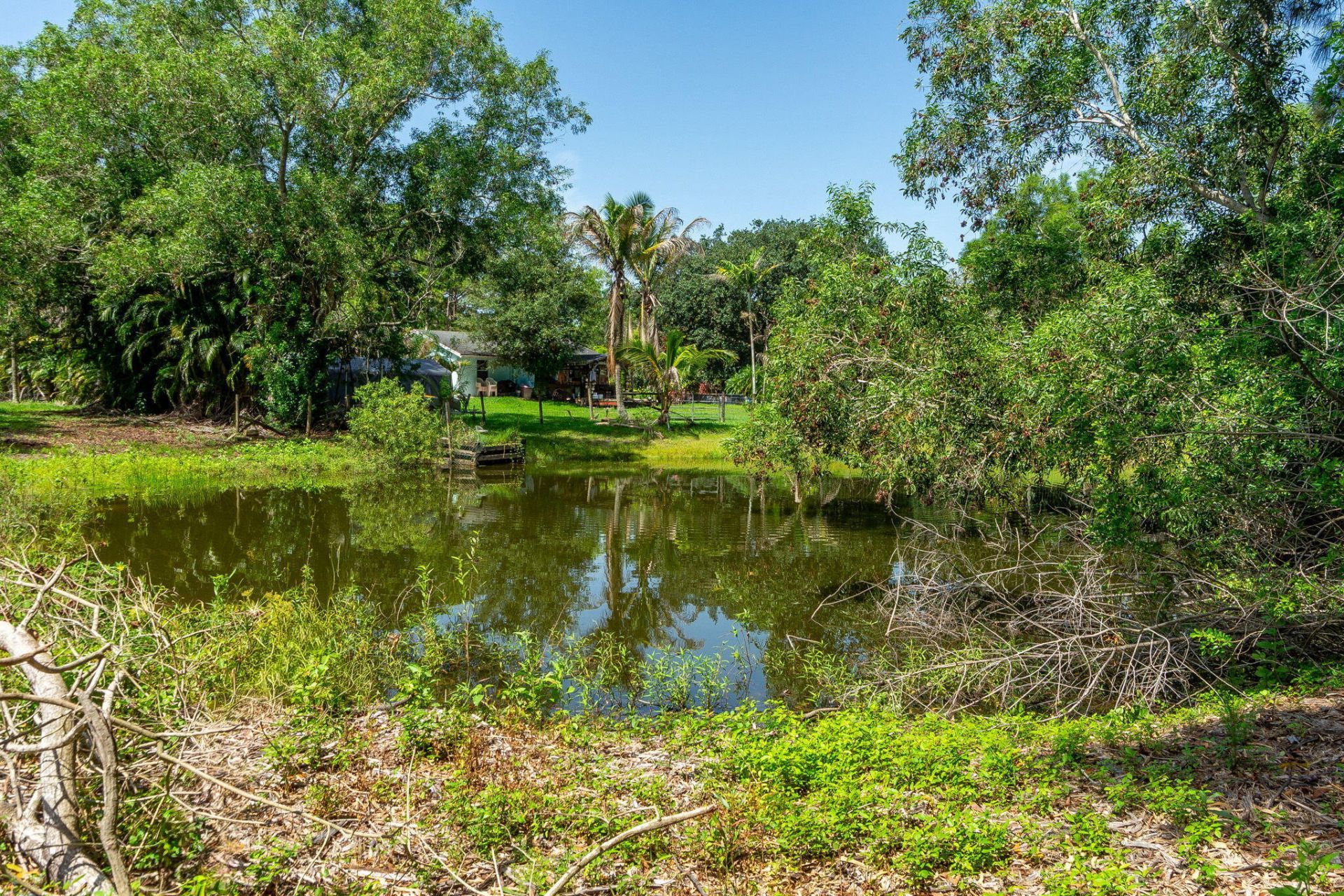 11735 150th Court N, Jupiter Farms, FL 33478 Photo