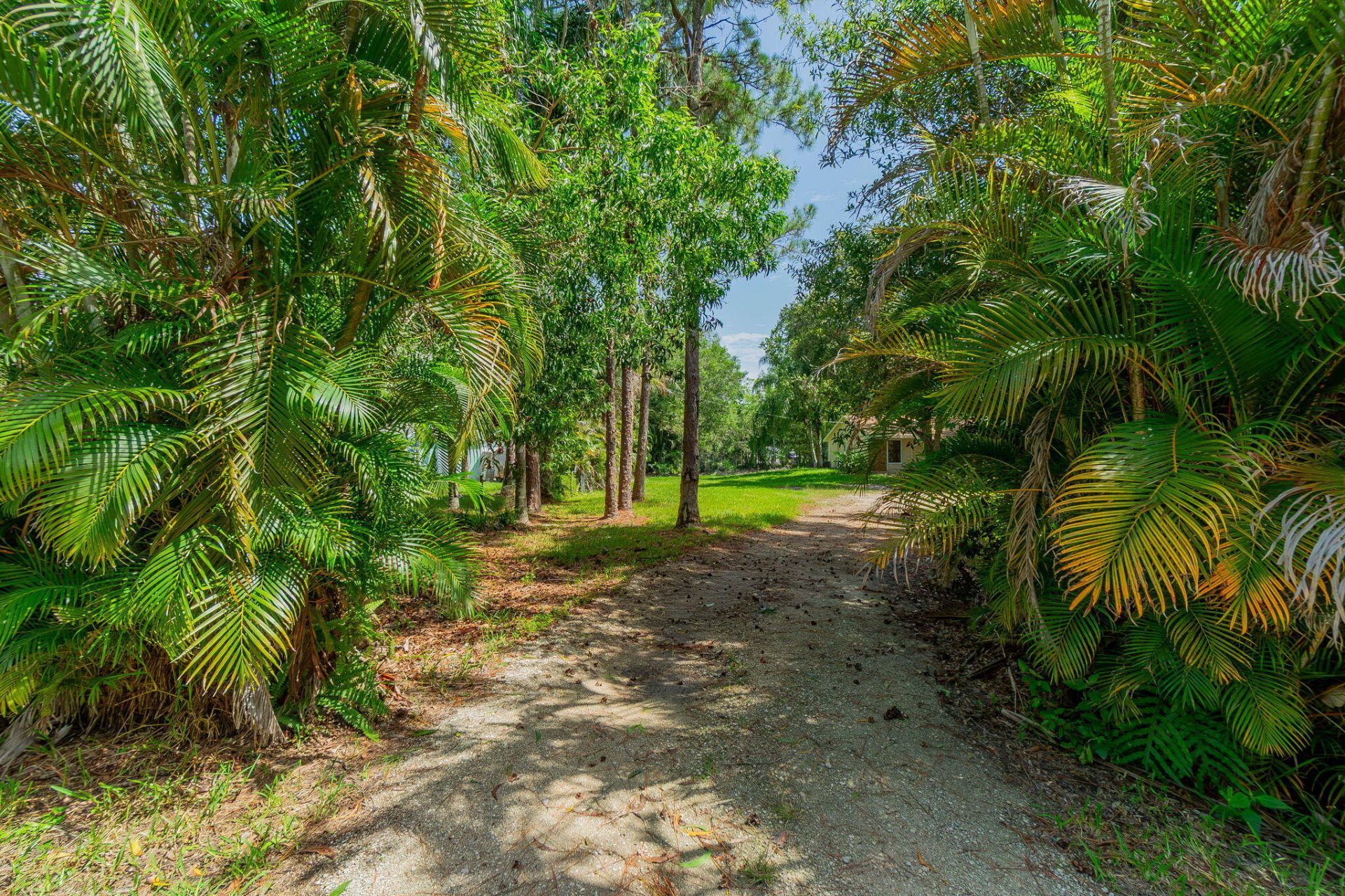 11735 150th Court N, Jupiter Farms, FL 33478 Photo