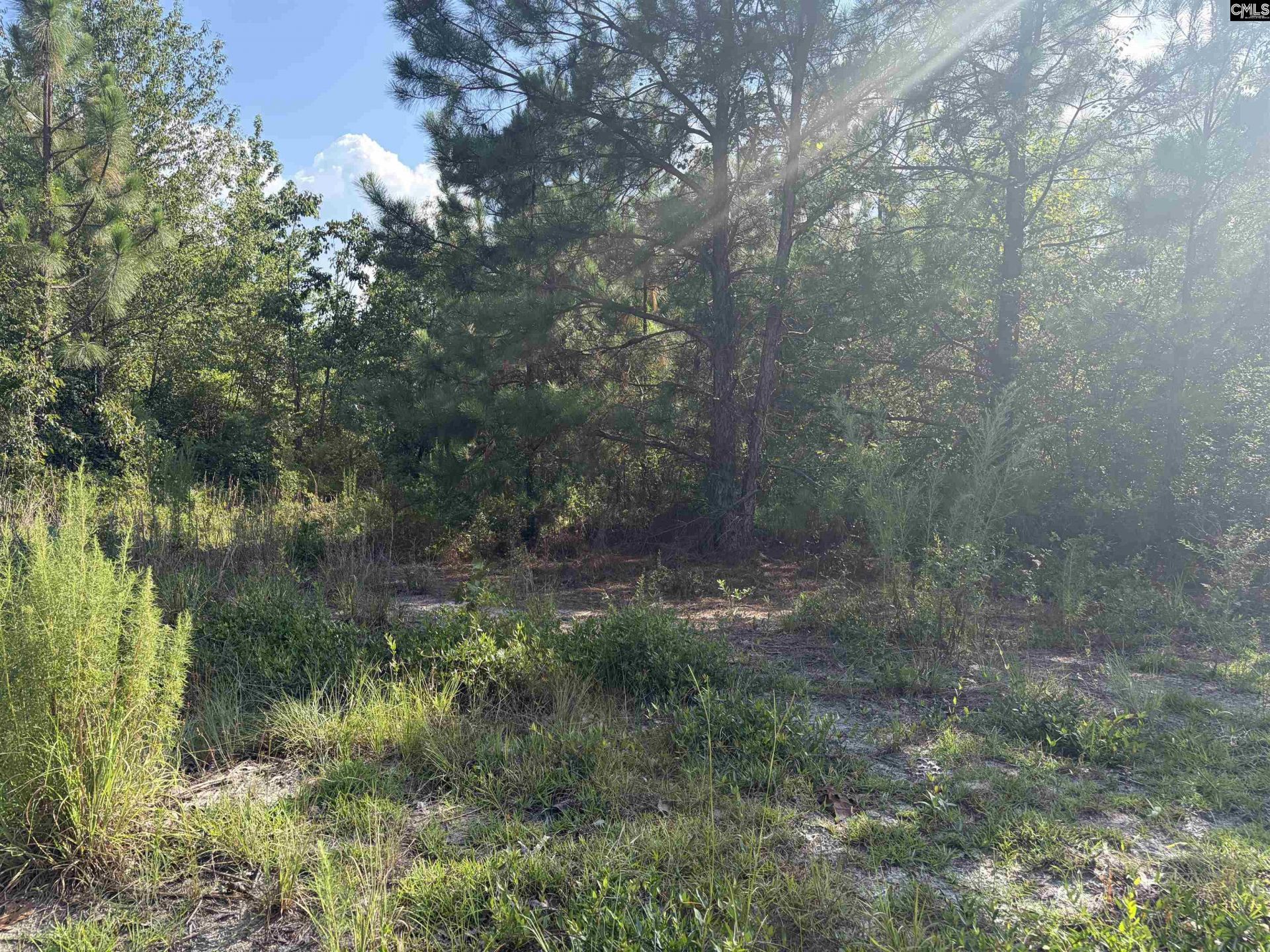 0 Valley Stream Road  Photo 5