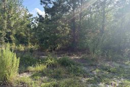 0 Valley Stream Road  photo 4