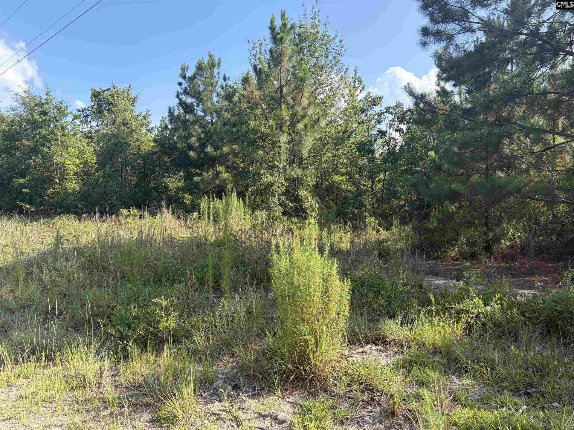 0 Valley Stream Road  Photo 6