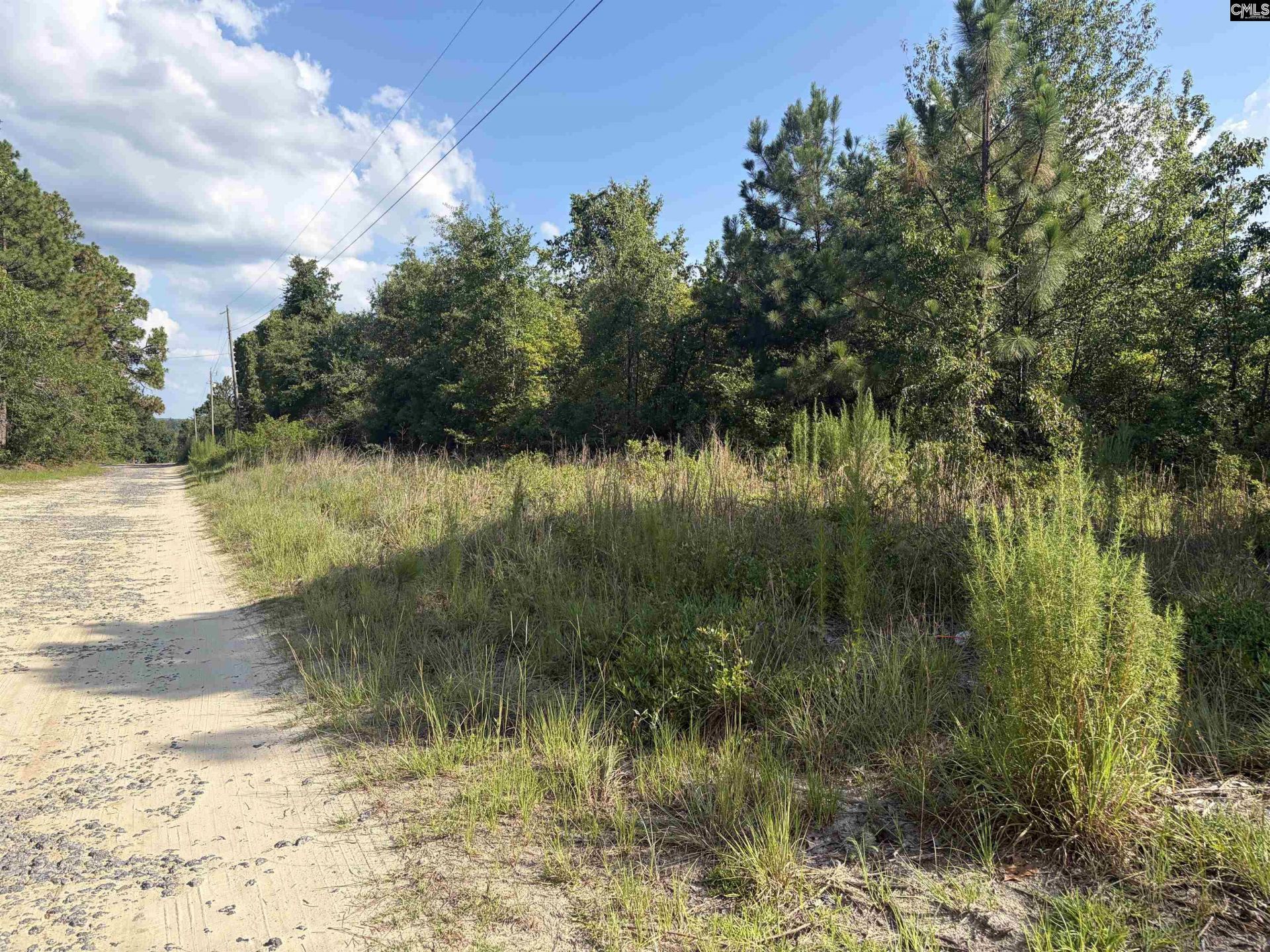 0 Valley Stream Road  Photo 7
