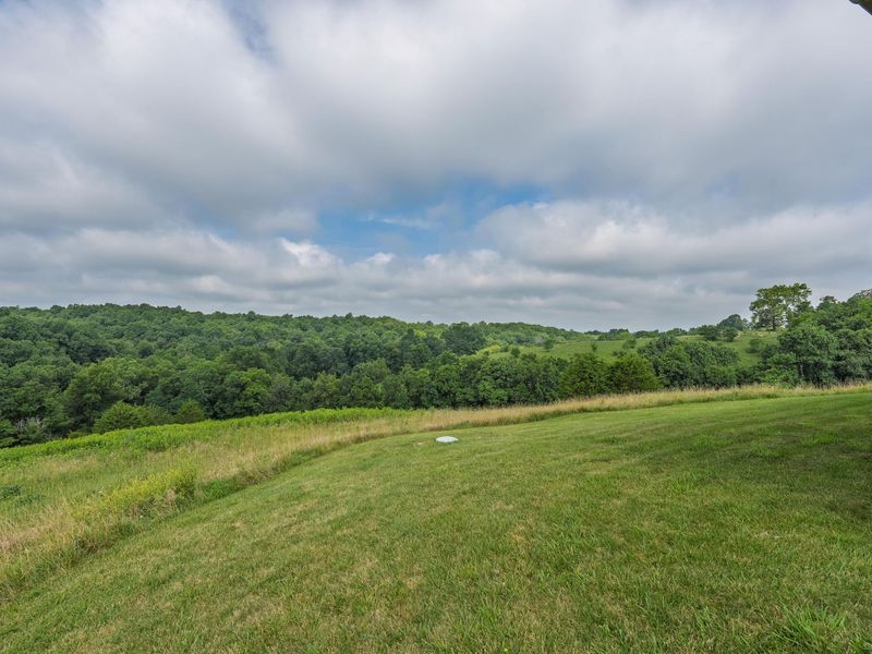 3275 Sweet Owen Road, Owenton, KY 40359 Photo 5