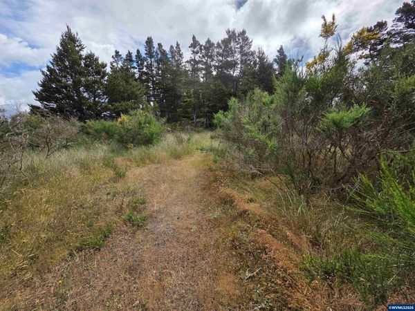 Lot 100 Highway 101, Florence, OR 97439