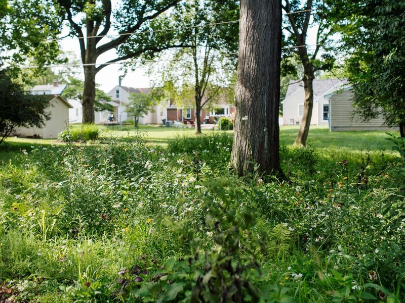 353 Charleston Avenue, Columbus, OH 43214 Photo 14
