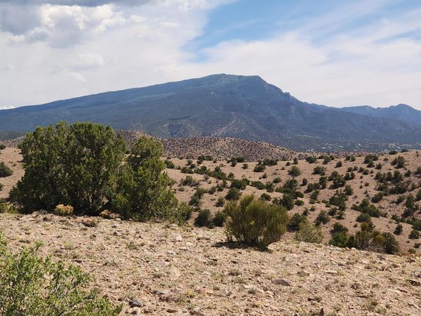 CAMINO HALCON , Placitas, NM 87043