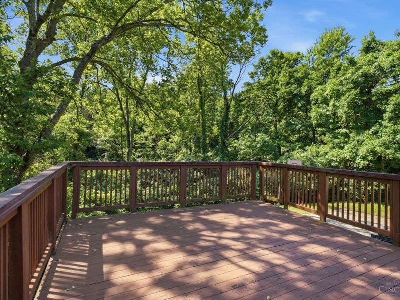 2825 Veazey Avenue, Cincinnati, OH 45238 Photo 18