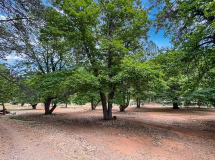 8979 La Porte Rd, Brownsville, CA 95919 Photo
