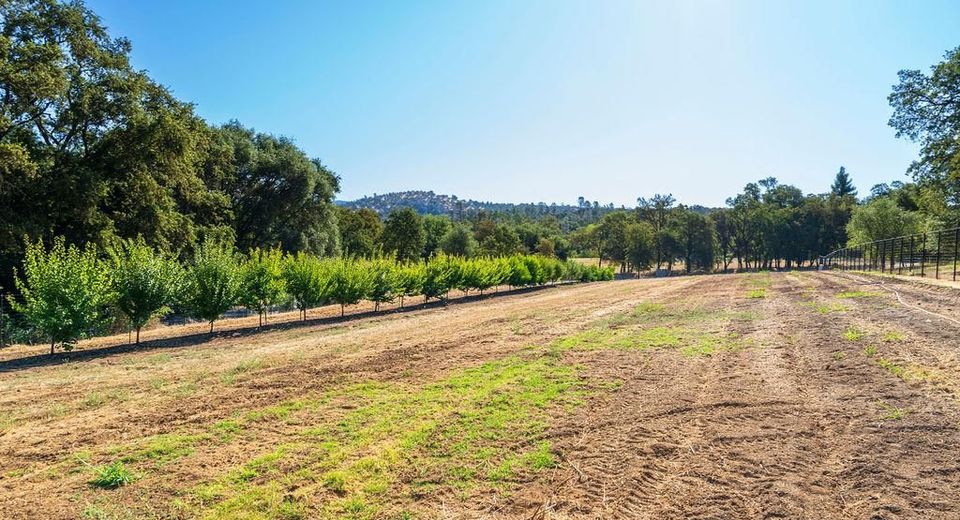 6800 Potts Trl, Browns Valley, CA 95918 Photo