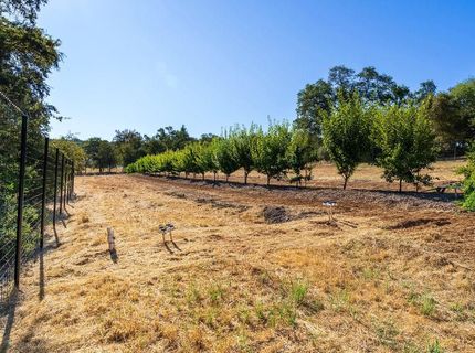 6800 Potts Trl, Browns Valley, CA 95918 Photo