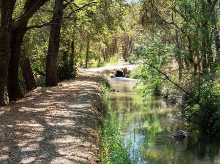 6800 Potts Trl, Browns Valley, CA 95918 Photo