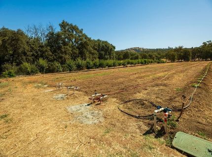 6800 Potts Trl, Browns Valley, CA 95918 Photo