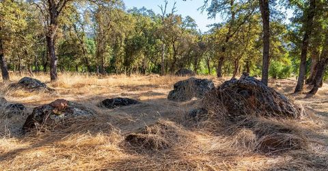 6800 Potts Trl, Browns Valley, CA 95918 Photo