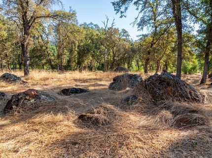 6800 Potts Trl, Browns Valley, CA 95918 Photo