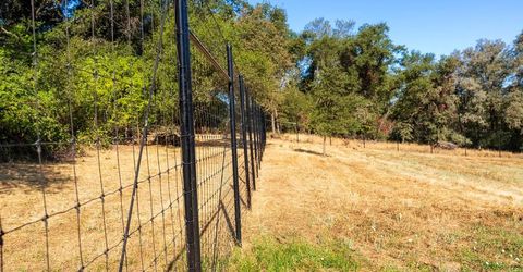 6800 Potts Trl, Browns Valley, CA 95918 Photo