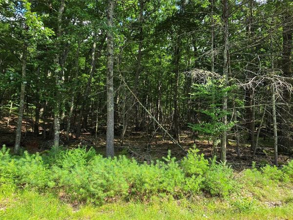 Lot 34.25 Lakeview Drive Road, Highland Lake, NY 12743