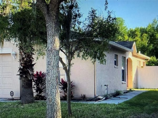 18250 SNOWDONIA DRIVE , LAND O LAKES, FL 34638