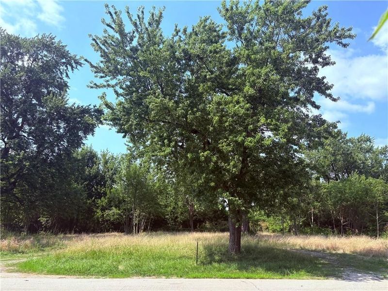 10051 SR 320, New Paris, OH 45347 Photo 8