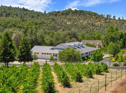 956 Chardonnay Ct, Murphys, CA 95247 Photo
