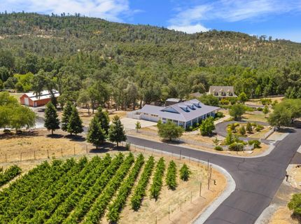 956 Chardonnay Ct, Murphys, CA 95247 Photo