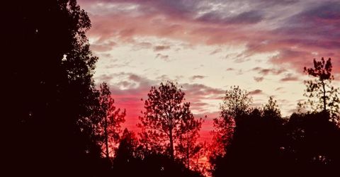 956 Chardonnay Ct, Murphys, CA 95247 Photo