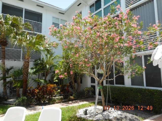 1461 S Ocean Blvd , Unit 101, Lauderdale by the Sea, FL 33062 Photo