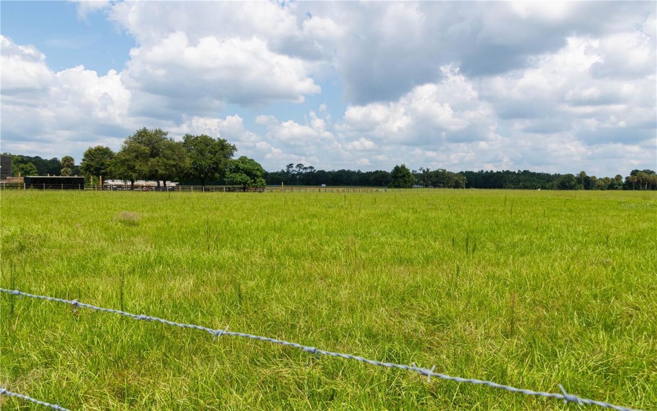 Daugharty Rd. , Deland, FL 32720 Photo