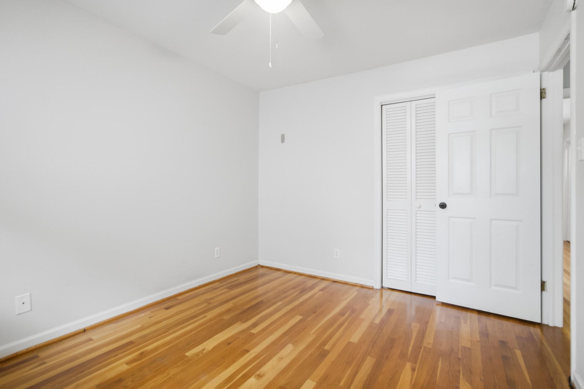 7 Doughty Street Photo 24