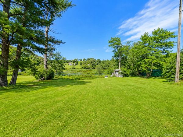 601 Briscoe Road , Swan Lake, NY 12783