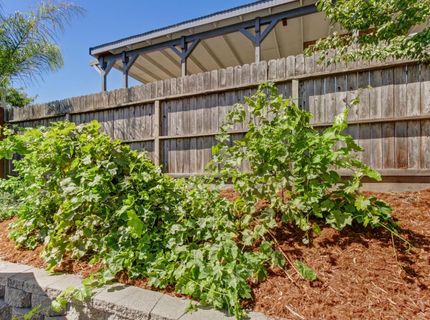 1308 Champion Oaks Dr, Roseville, CA 95661 Photo