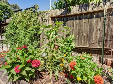 1308 Champion Oaks Dr, Roseville, CA 95661 Photo