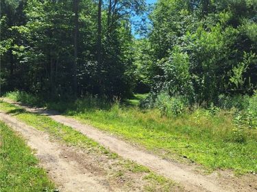 6 Streiff Road, Ava, NY 13303