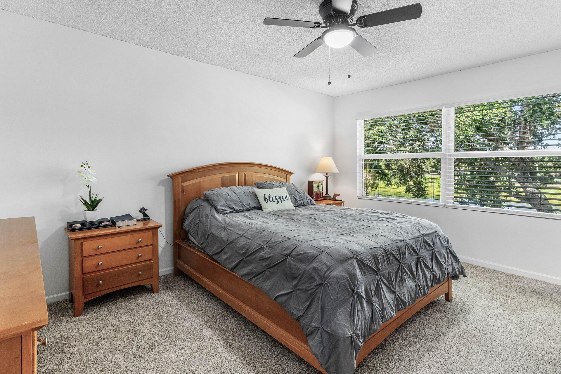 7874 Sienna Springs Drive, Lake Worth, FL 33463 Photo