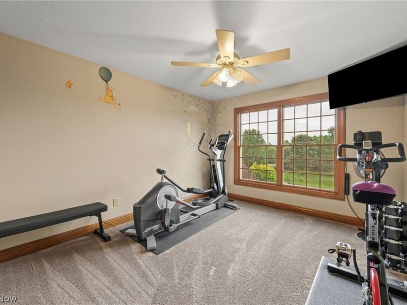 10225 Questa Court, Wadsworth, OH 44281 Photo 40