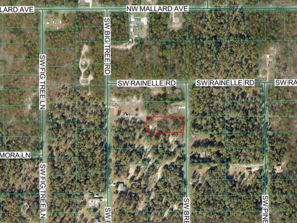 00 SW BREEZY POINT DRIVE , DUNNELLON, FL 34431