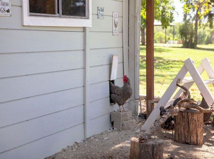 4245 Burnett Rd, Lincoln, CA 95648 Photo