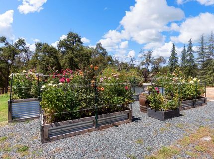 4245 Burnett Rd, Lincoln, CA 95648 Photo