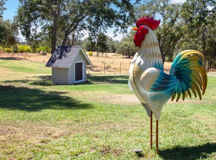 4245 Burnett Rd, Lincoln, CA 95648 Photo