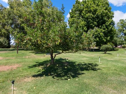 4245 Burnett Rd, Lincoln, CA 95648 Photo